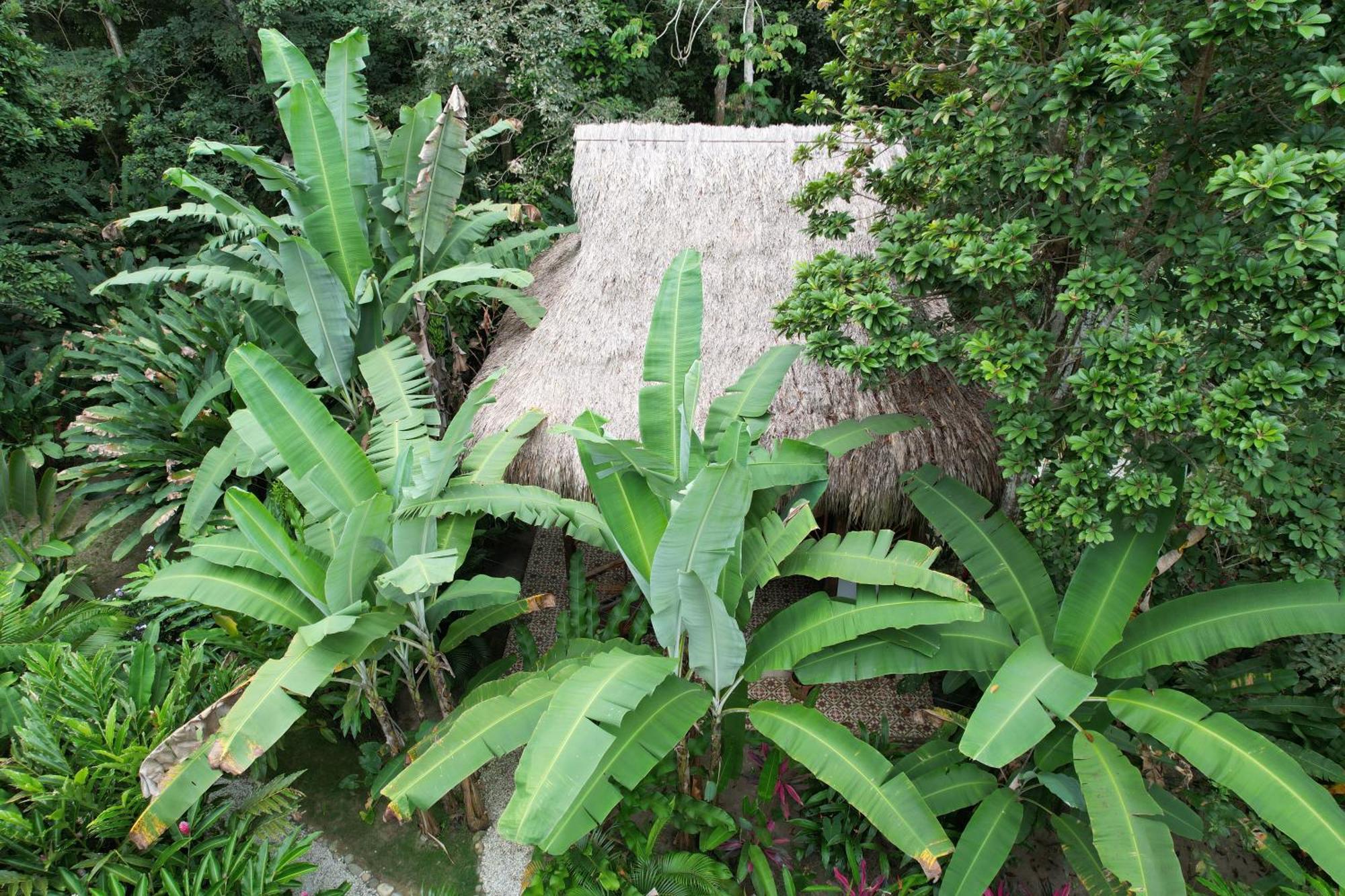 מלון Guachaca Salvia Madre מראה חיצוני תמונה